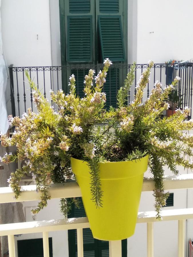 مبيت وإفطار بولينيانو آ ماري Dimora Dioniso المظهر الخارجي الصورة